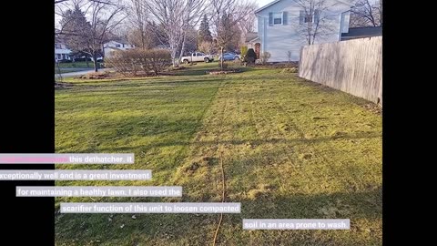 Read Remarks: WEN DT1516 16-Inch 15-Amp 2-in-1 Electric Dethatcher and Scarifier with Collectio...