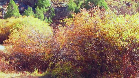 Windy Day in October