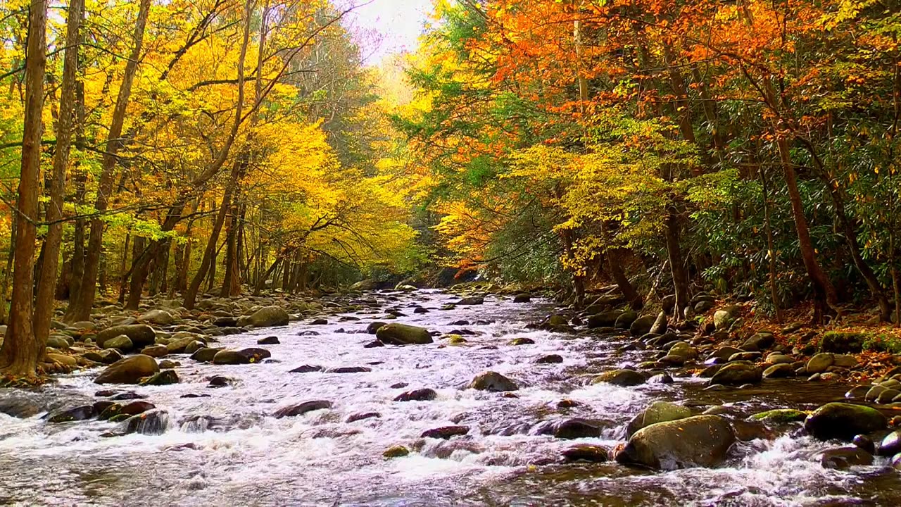 Autumn River Rapids