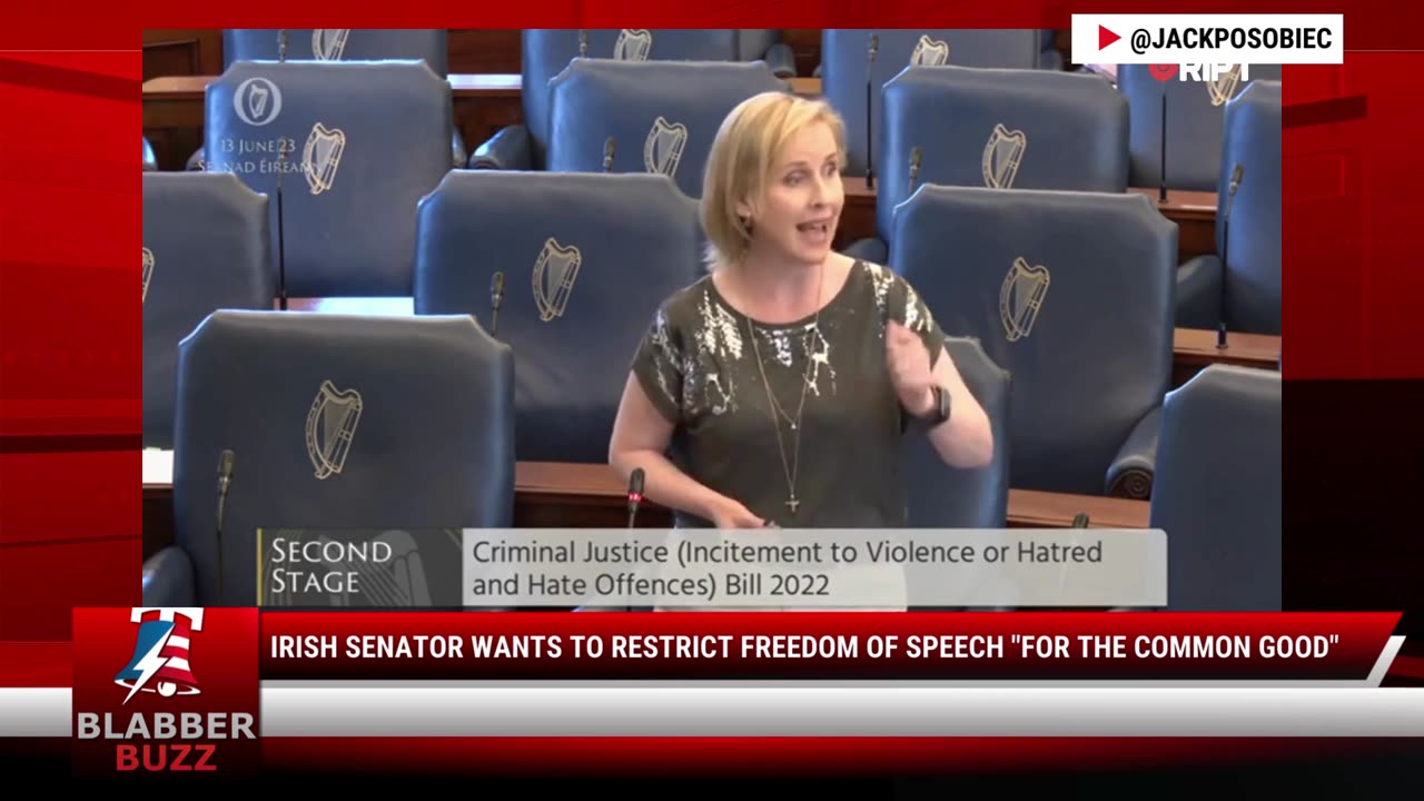 Irish Senator Wants To Restrict Freedom Of Speech "For The Common Good"