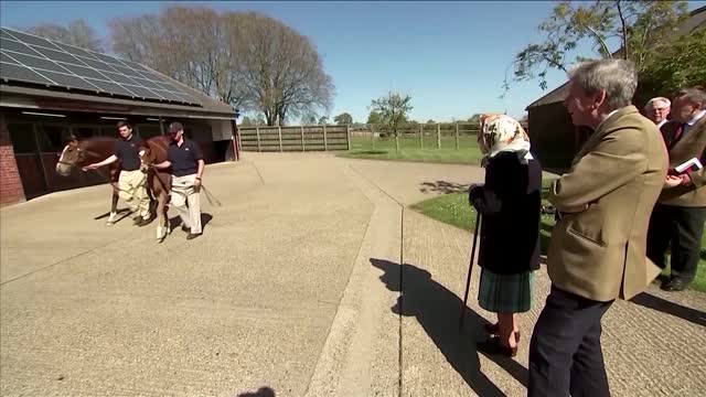 Britain’s queen feeds horses at Sandringham