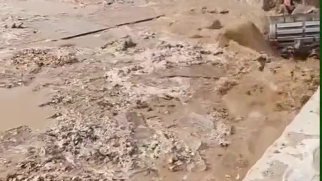 DL Panda Viral Videos On Tiktok