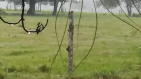 Fuerte aguacero. Que bonita es la lluvia