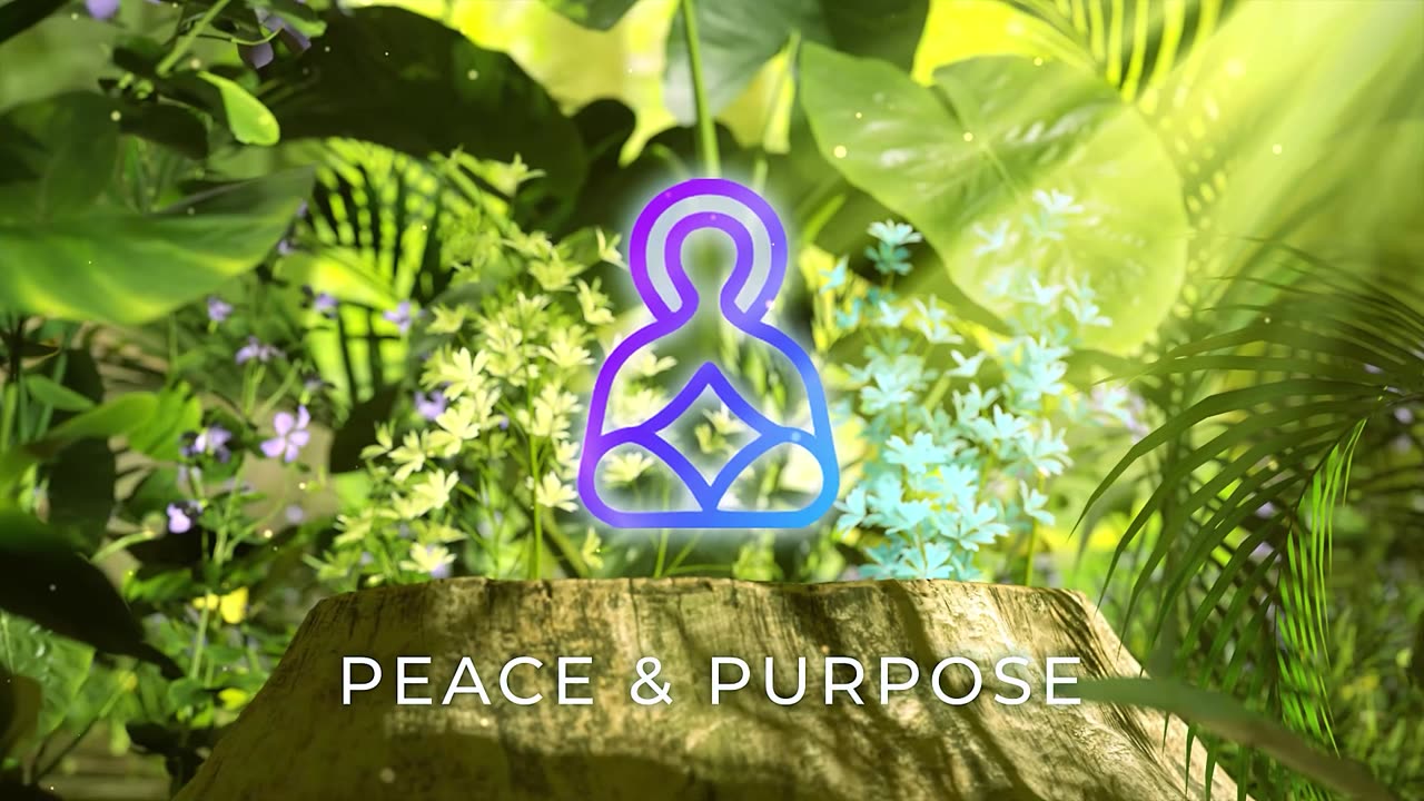 Peace & Purpose - Mindfulness of the Present Moment