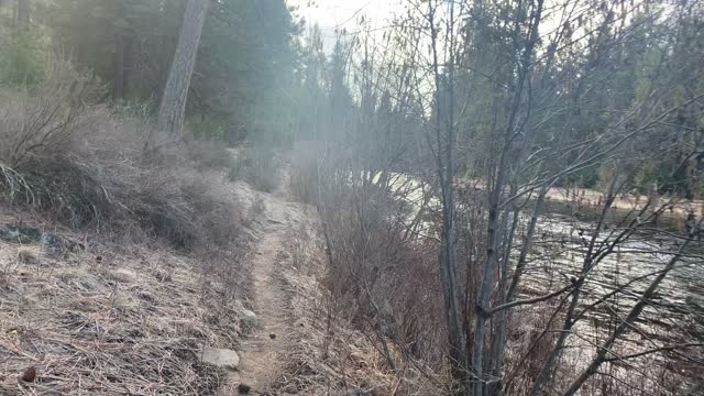 Hiking Beside Trusty Friend Metolius River in the Freezing Cold – Central Oregon – 4K