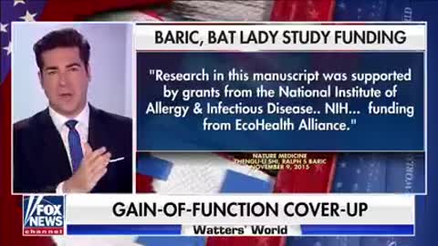 All the so called "experts" are wrong and you were right - Jesse Watters