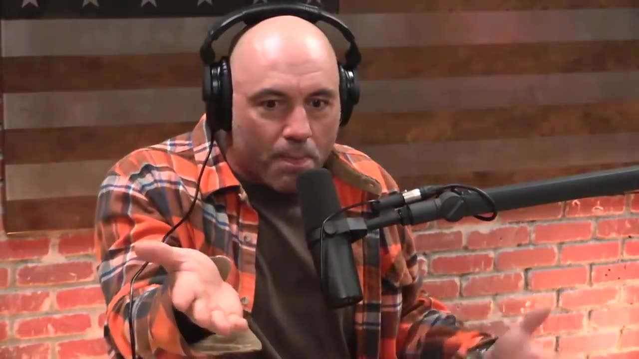 Joe Rogan and Jimmy Dore talk about Seth Rich and Hillary Clinton