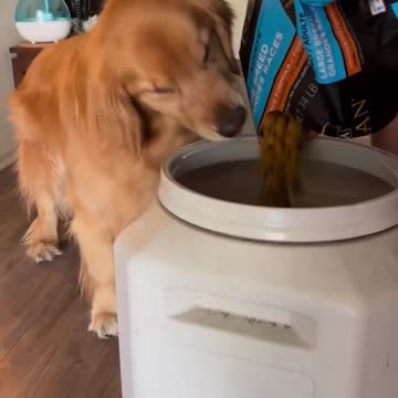 Honestly Dave what did you think was going to happen???