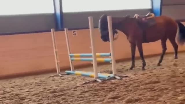 The Pony That Brakes