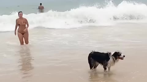Copacabana Beach in Rio de Janeiro🌴Brazil