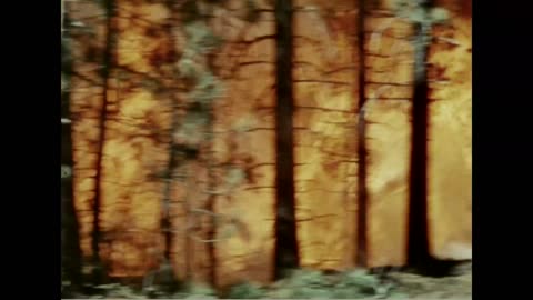 Smokey Bear TV Spot CARELESS KILLERS