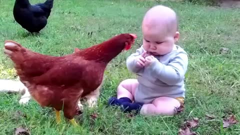 THE BEST Funny Babies and Animals Video Compilation #2