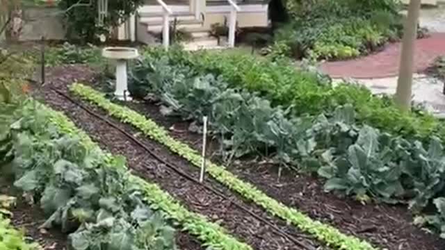 To move forward, we need to look back.