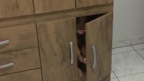 baby wanting to hide
