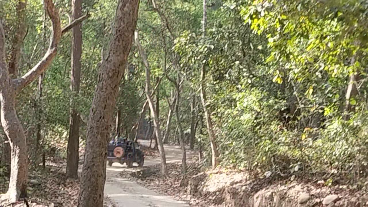 Raja Ji National park