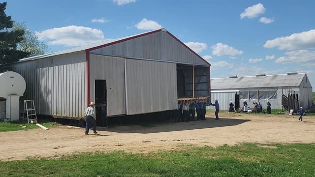 Amish Moving a Shed