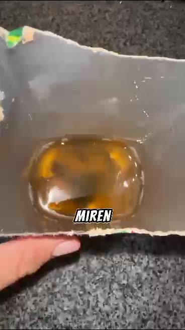 Que pasa con BAGGIO ?