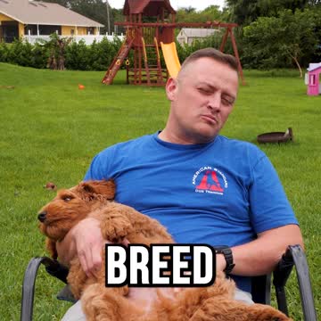 Fat Max’s daily routine: wake up, train, kibbles, sleep.