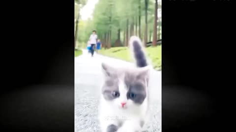 Funny Animal Videos 2023 -- Funniest Dogs And Cats