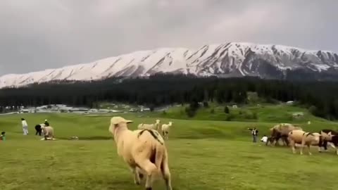 Mountain view Pakistan