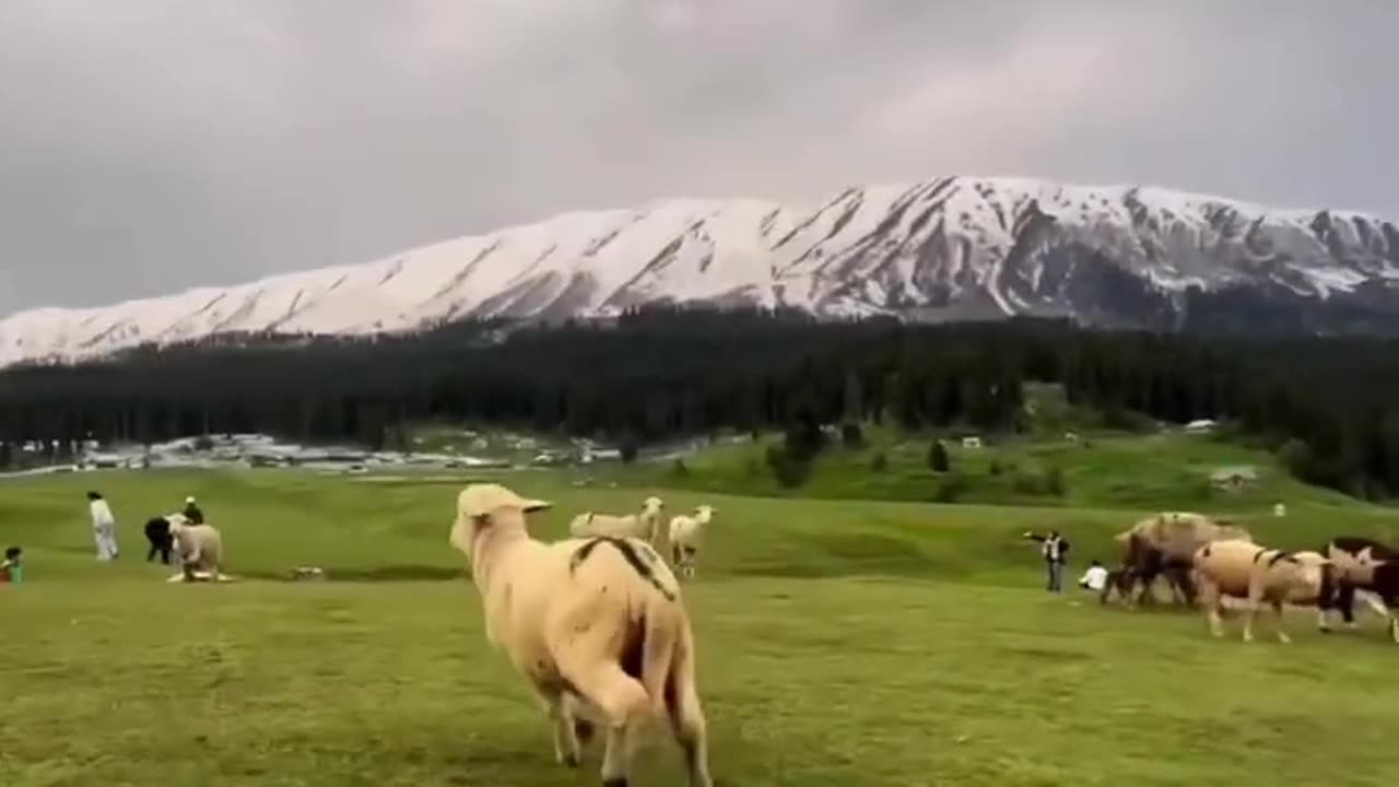 Mountain view Pakistan