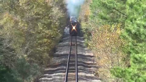 Union Pacific #4014 traveling through East Texas