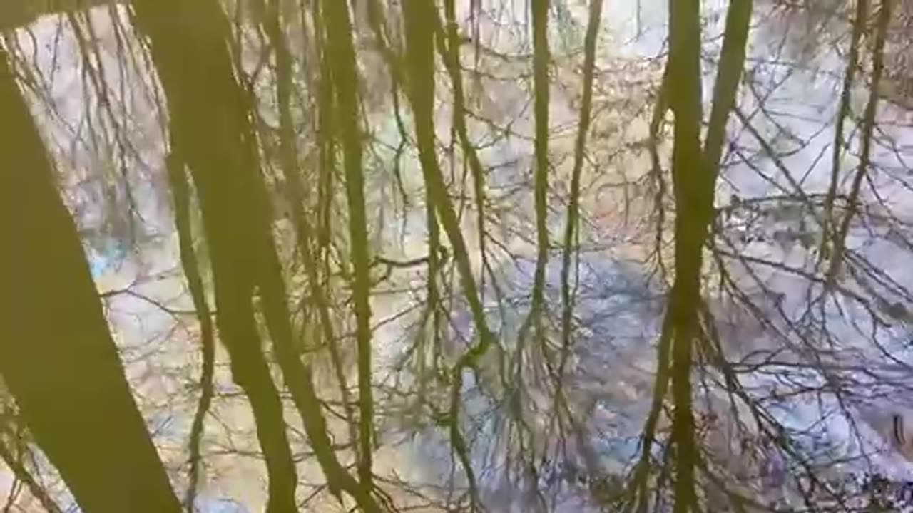 THE WATER IN OHIO 11 DAYS LATER…