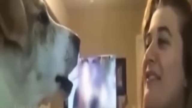 Funniest Videos 2022 😂 Funny Cats 🐱 and Dogs 🐶 Part 3