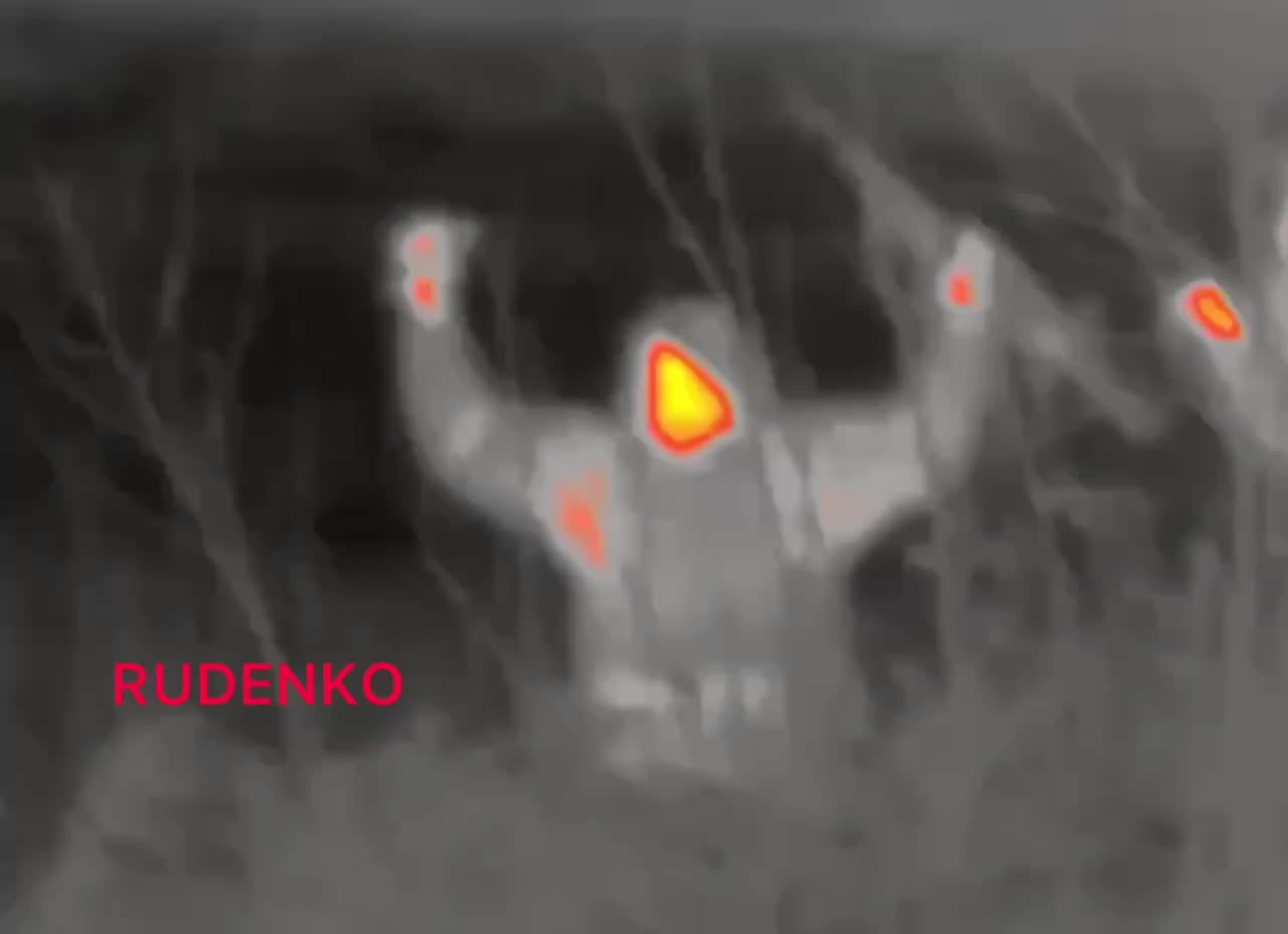 During the night 9 Ukrainian soldiers surrenders voluntary to Special Forces of DPR..