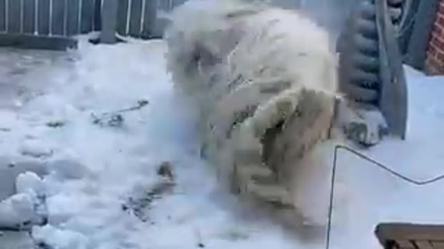 Whoopi🧟‍♀️Goldberg 😲MELTDOWN in the snow ☠ After being FIRED !🤣