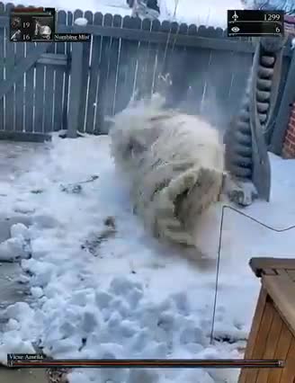 Whoopi🧟‍♀️Goldberg 😲MELTDOWN in the snow ☠ After being FIRED !🤣