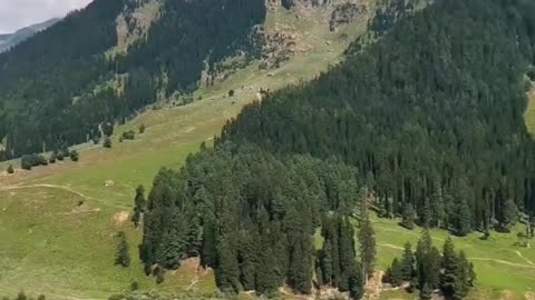 Betaab Valley ❤️ | Kashmir