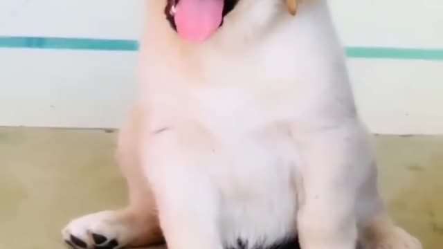 so cute