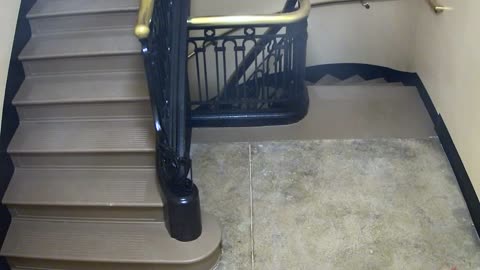 5189CHOB04Stair3_2021-01-06_04h00min01s837ms.mp4