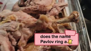 DOES THE NAME PAVLOV "RING A BELL" ?