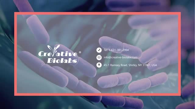 Live biotherapeutics-creativebiolabs