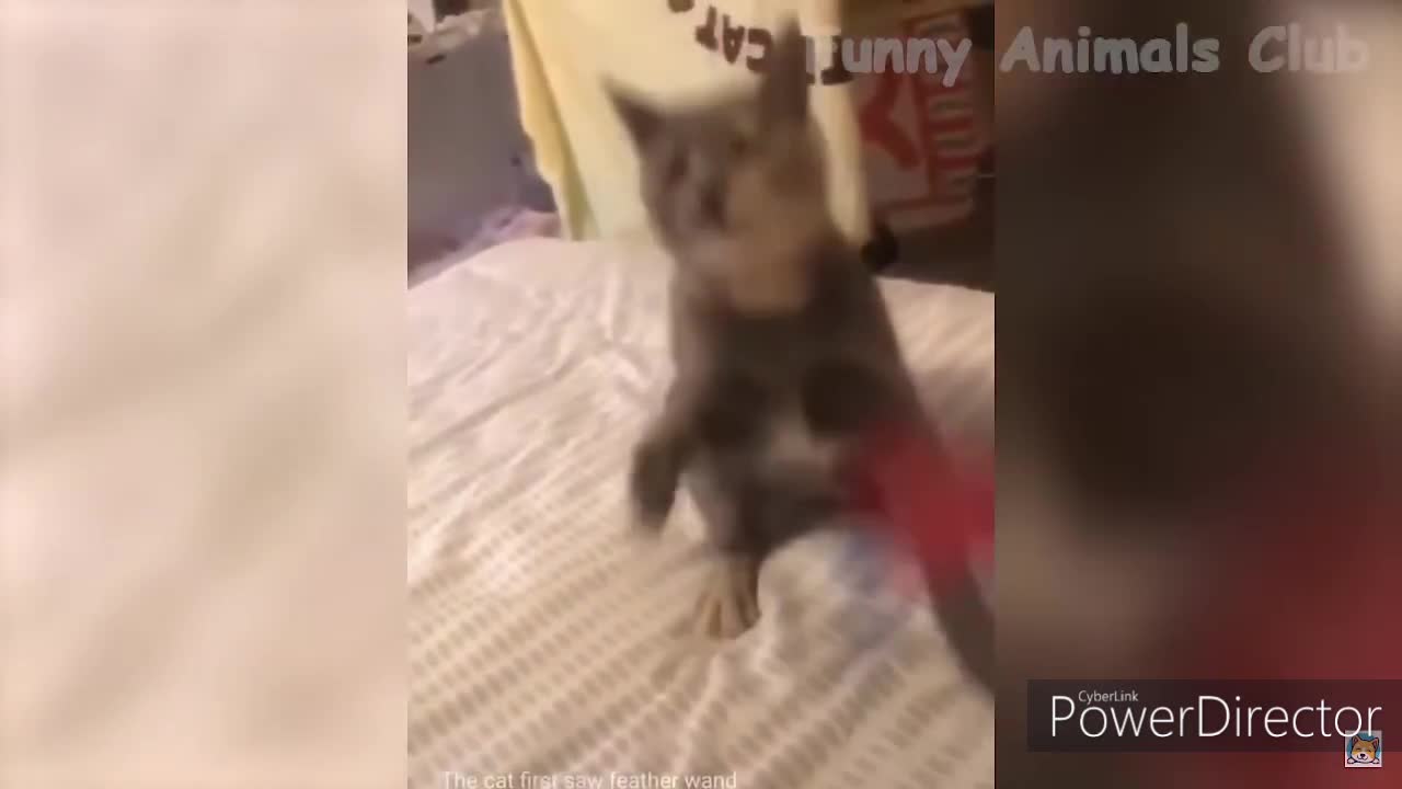 laughing challenge 5