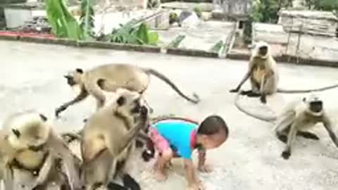 Liltal Baby vs Monkey Plsying🤣😋😎😍