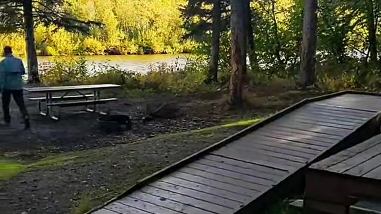 Chena Hot Springs cabins