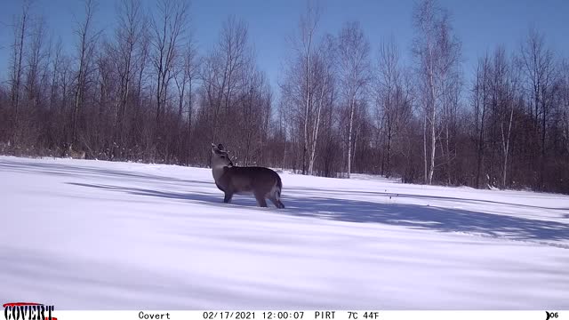 2021 snow depth
