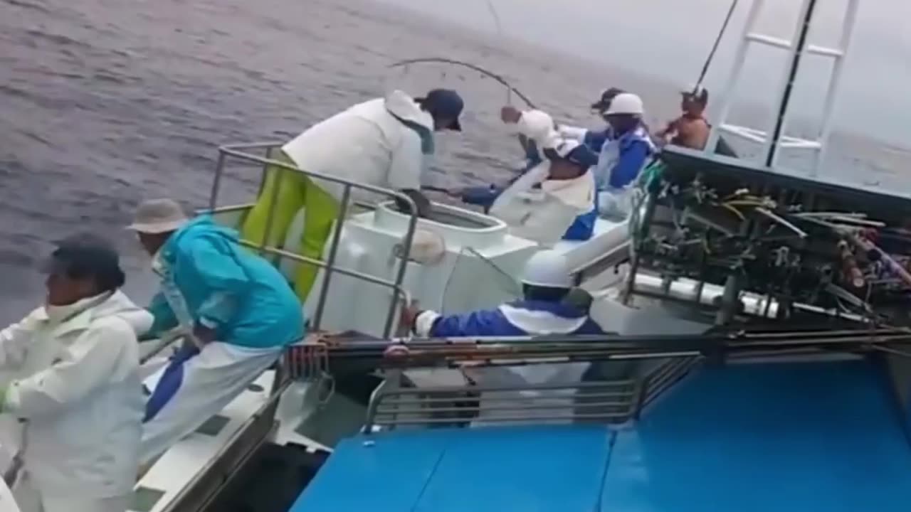 Catching Tuna Fish from Deep Sea