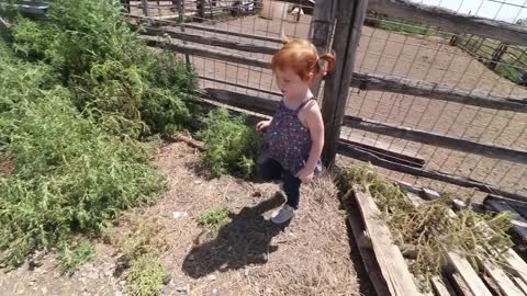 Adley RIDES SPIRIT the Horse!