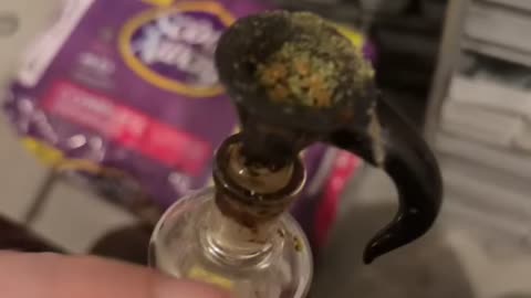 Day 16 pt3 I’ll play a different song if I make another video