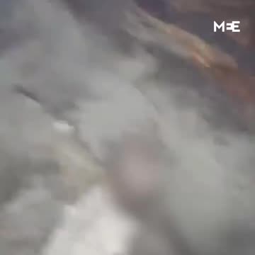 Another flour massacre by the illegal Israeli occupation force