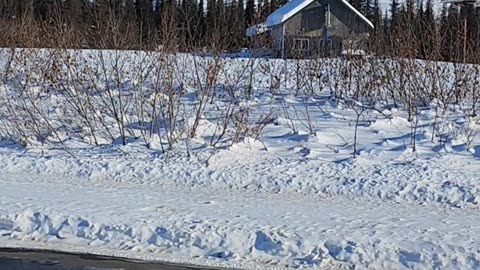 Igloo Hotel Alaska