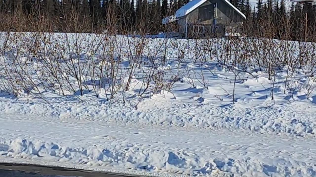 Igloo Hotel Alaska