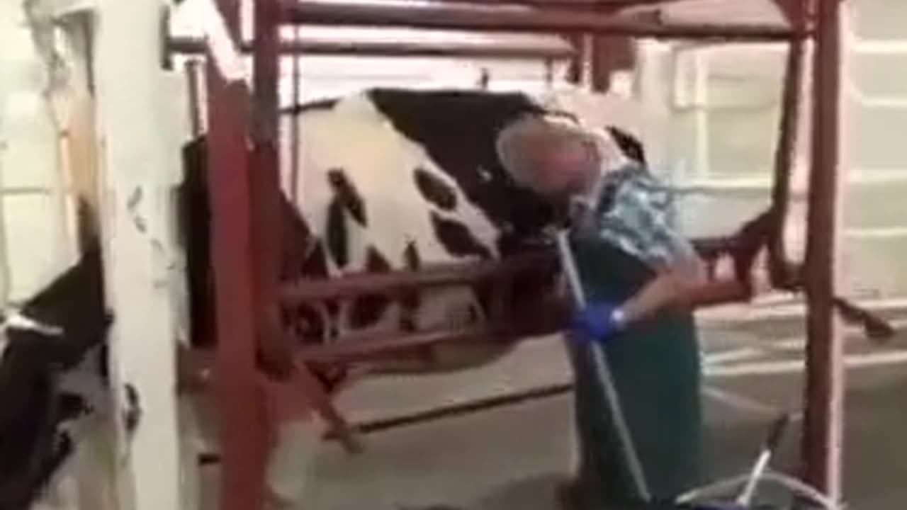 What's happening to your food?