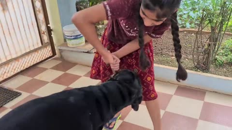 Anshu is falling down because of my dog funny dog videos