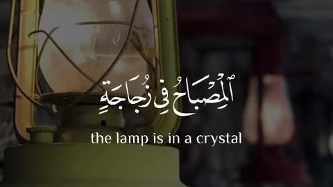 #darwaishalogy
