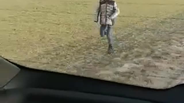 Grüne Phantasien heilen